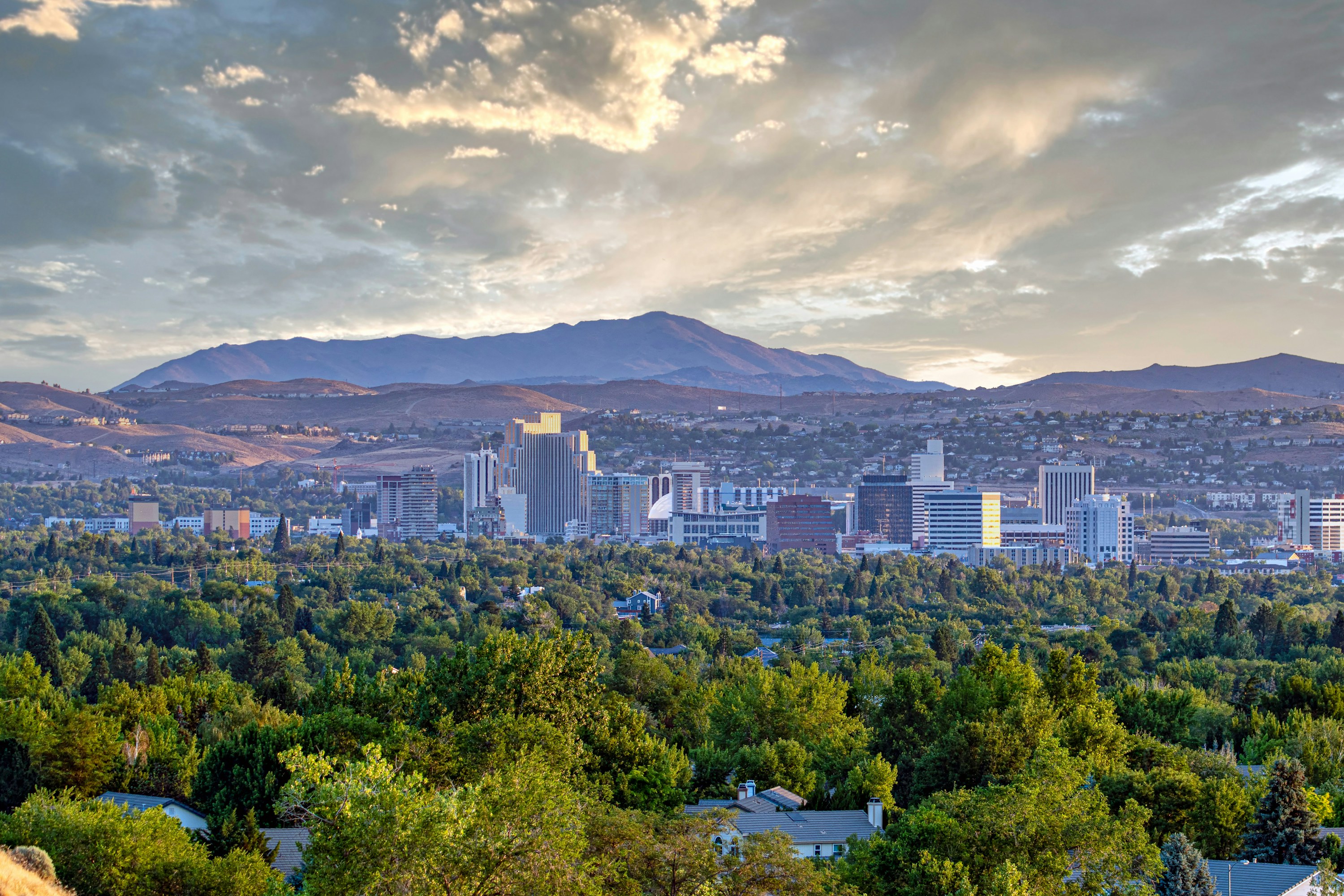 Real Estate Transactions and Development
